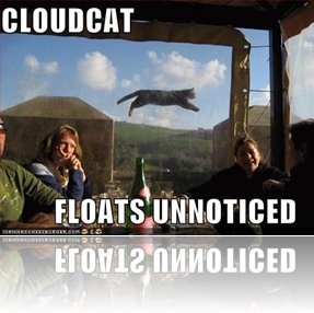funny-pictures-cloud-cat