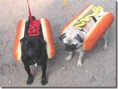 hot-dog-costume